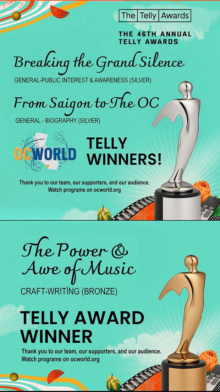 46thTheTellyAwards-SilverAwardBronxe700